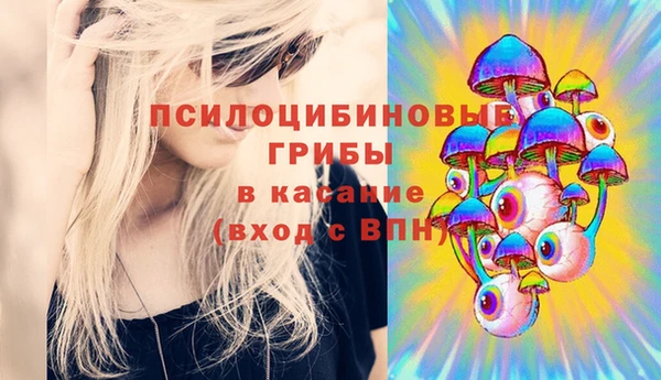а пвп мука Новозыбков