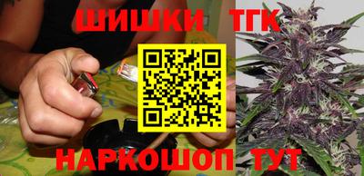 Альфа ПВП Обь