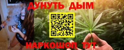 Альфа ПВП Обь