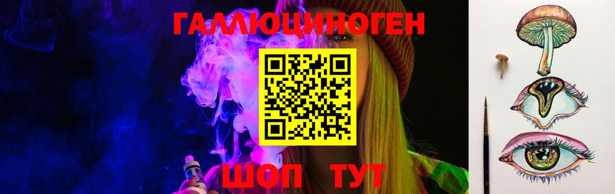 Галлюциногенные грибы Psilocybe Тихорецк